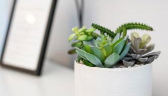 Entire house Pet Friendly w gated backyard Boeing - Foto 2