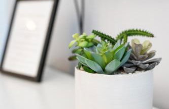 Entire house Pet Friendly w gated backyard Boeing - Foto 2