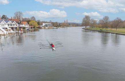 Olive Tale - From 225 Per Night - Foto 30