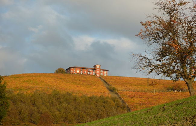 Bricco Rosso - Foto 18