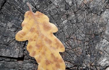 Casa della Casa - Foto 46