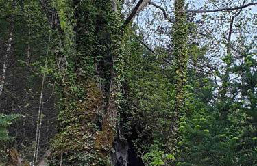 Penelope's Guest House - Foto 7