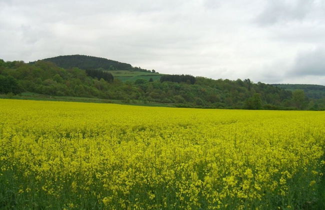 Apartment in Tauberbischofsheim - Foto 18