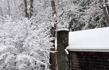 Creek Side Cabin with Wood Fired Hot Tub and Fire Pit - Foto 47