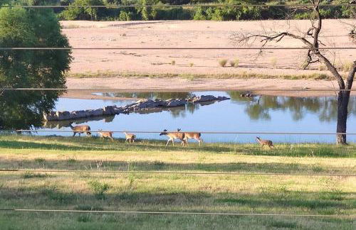 Eagle's Grotto - Quiet 5 Acre Riverside Retreat on Llano River - Foto 22