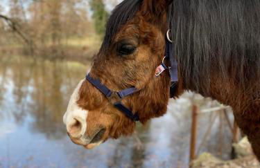 Agriturismo I Leprotti - Photo 51