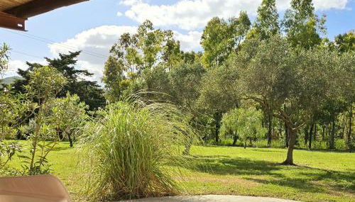Patio House - Foto 5, Garden, sunbed, Garden view