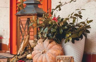 Il Bosco Guest House Subiaco - Foto 25