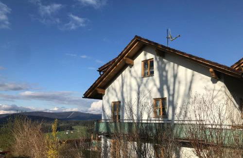 Ferienwohnungen Lusenblick - Foto 8