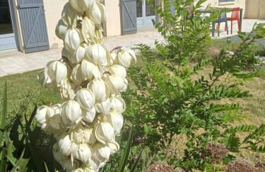 chez juliette - Foto 19