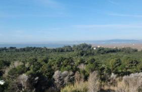 Vistas de ensueño en Les Gavines - entre el mar y La Albufera - Foto 12