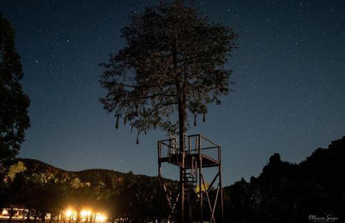 Chácara Aconchego - Foto 7