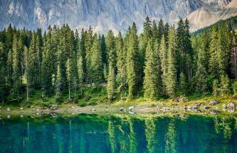 Eagle & Marmot, Carezza Dolomites - Foto 5