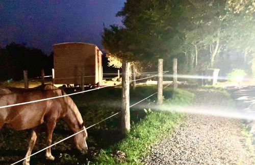 Vue Poneys, 40min Mt St Michel 30min Mer Draps Serviettes Baie Normandie Cottage - Foto 21