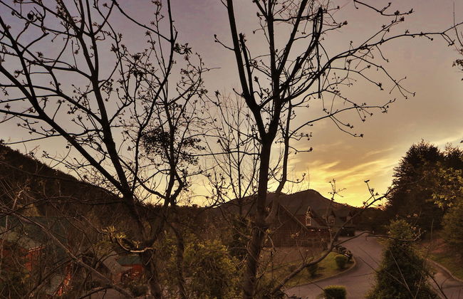 Amazing Grace - Two Bedroom Cabin - Foto 31