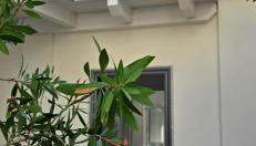 La Suite del Borgo - Foto 2