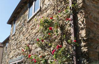 O Bolaño Apto 3 - Foto 41