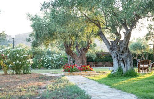 Agroktima Elia - Foto 66