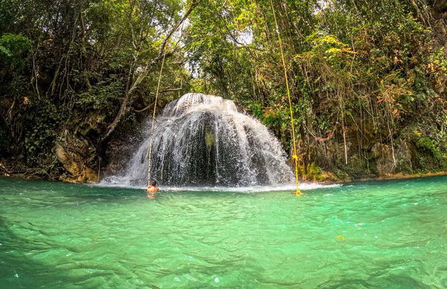 Excursion aux cascades de Llano Grande - Foto 16