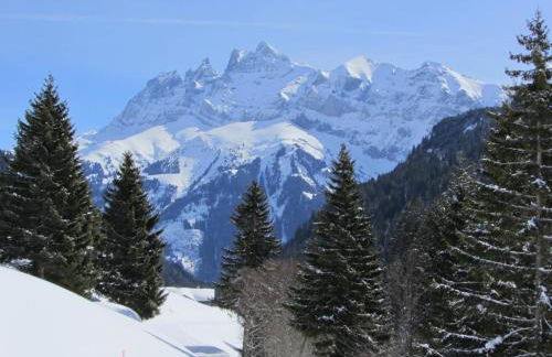 Le Mazot - Avoriaz- séjours du dimanche au dimanche - Photo 25