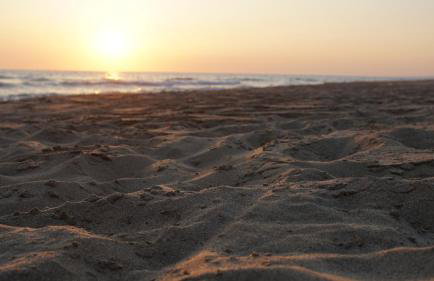 Goldener Strand 3-4 - Foto 14