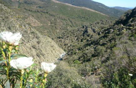 La Chocita de Tio Castor - Foto 15