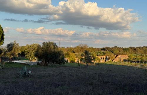 HORTA do RAMALHAÕ - Foto 11