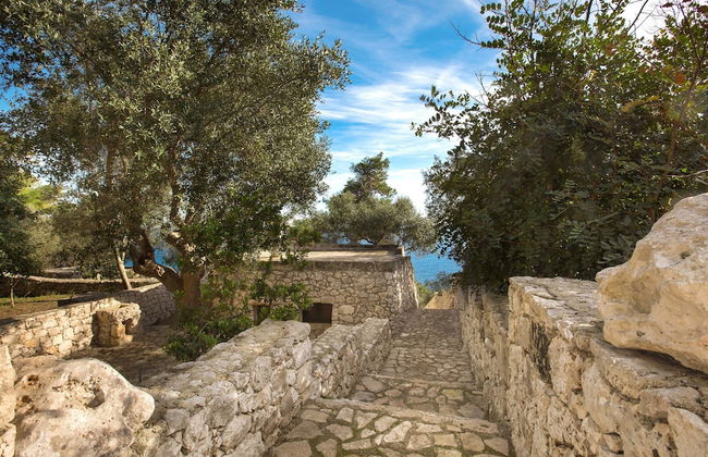 Pajara Acquaviva - Foto 15