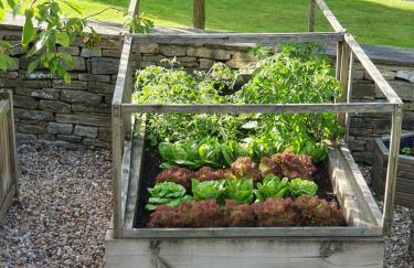 Hazeldene Cottage - Foto 3