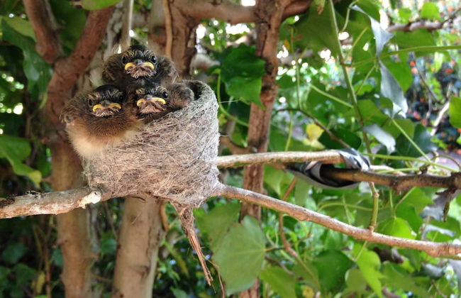 Abington Farm - Foto 31