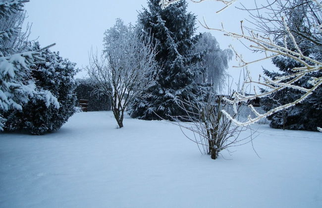 Landhaus Ferienwohnung in Gorow - Photo 18