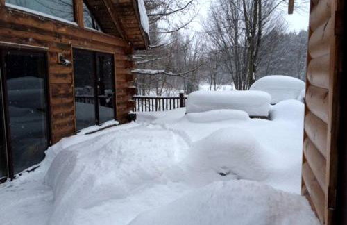 Secluded Cabin Rental near Letchworth State Park in Buffalo, Arcade, New York - Foto 15