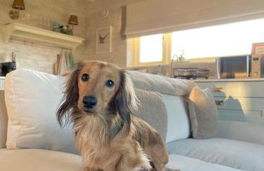 Luxury Boutique retreat, hot tub, dog friendly - Foto 58