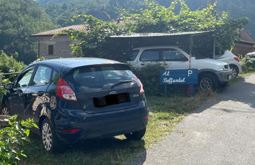 Al Buffardel - Foto 19