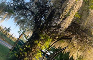 Cascina Valgrande, Monferrato - Foto 7