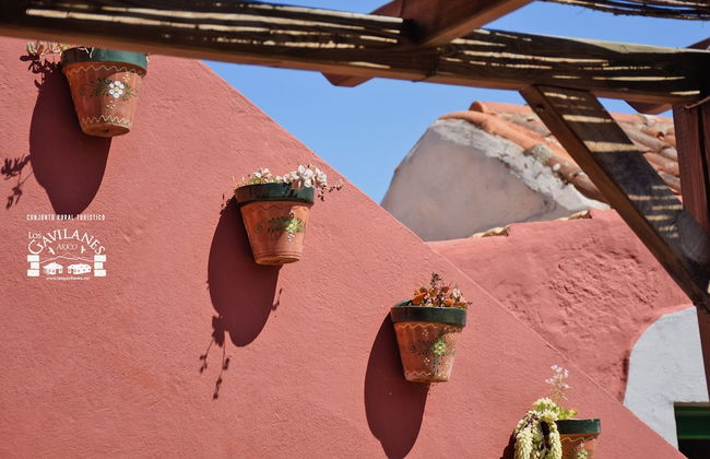 Casas Rurales Los Gavilanes - Foto 34