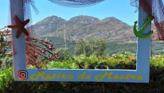 Retiro do Mestre - Foto 4