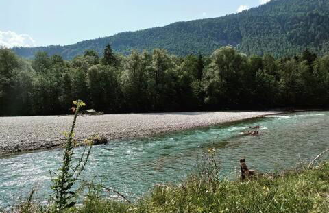 Achentaler Auszeit - Photo 9