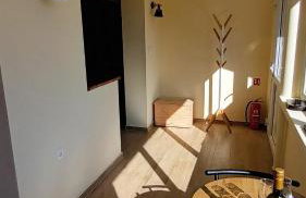 Forest idyll - Foto 21