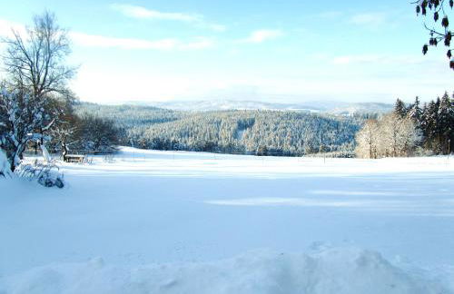 Ferienhaus Zopfhäusl - Foto 41
