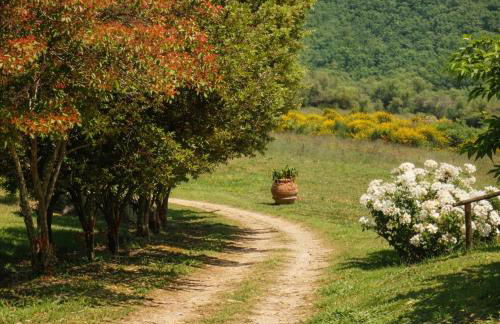 Agriturismo Mulinaccino - Foto 20