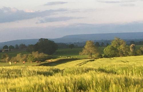 High Oak Holiday Cottage - Foto 27