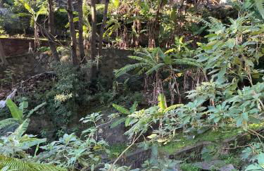 Casa Žerotín - Foto 43