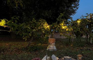 CLAUDIA VACANZA TOSCANA - Appartamento Melograno -10 min da Siena - Foto 6