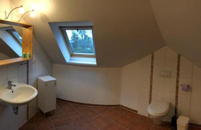 Graureiher - Foto 11