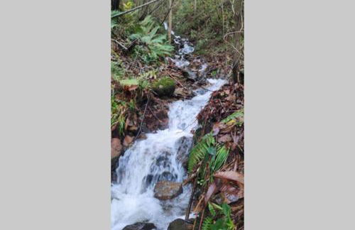 Ca Rifo, casa rural en Asturias, puerta de Somiedo a orillas del río Narcea - Foto 56