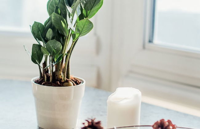 Luxury Apartments On Ordzhonikidze 37 - Foto 13