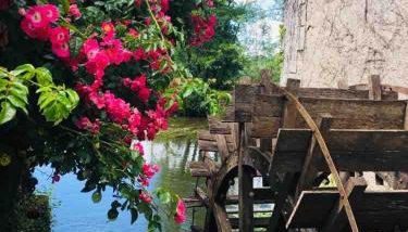 Détente assurée au moulin de papalis - Foto 5