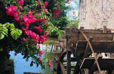 Détente assurée au moulin de papalis - Foto 5