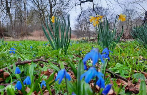 Ostseerauschen - Foto 37